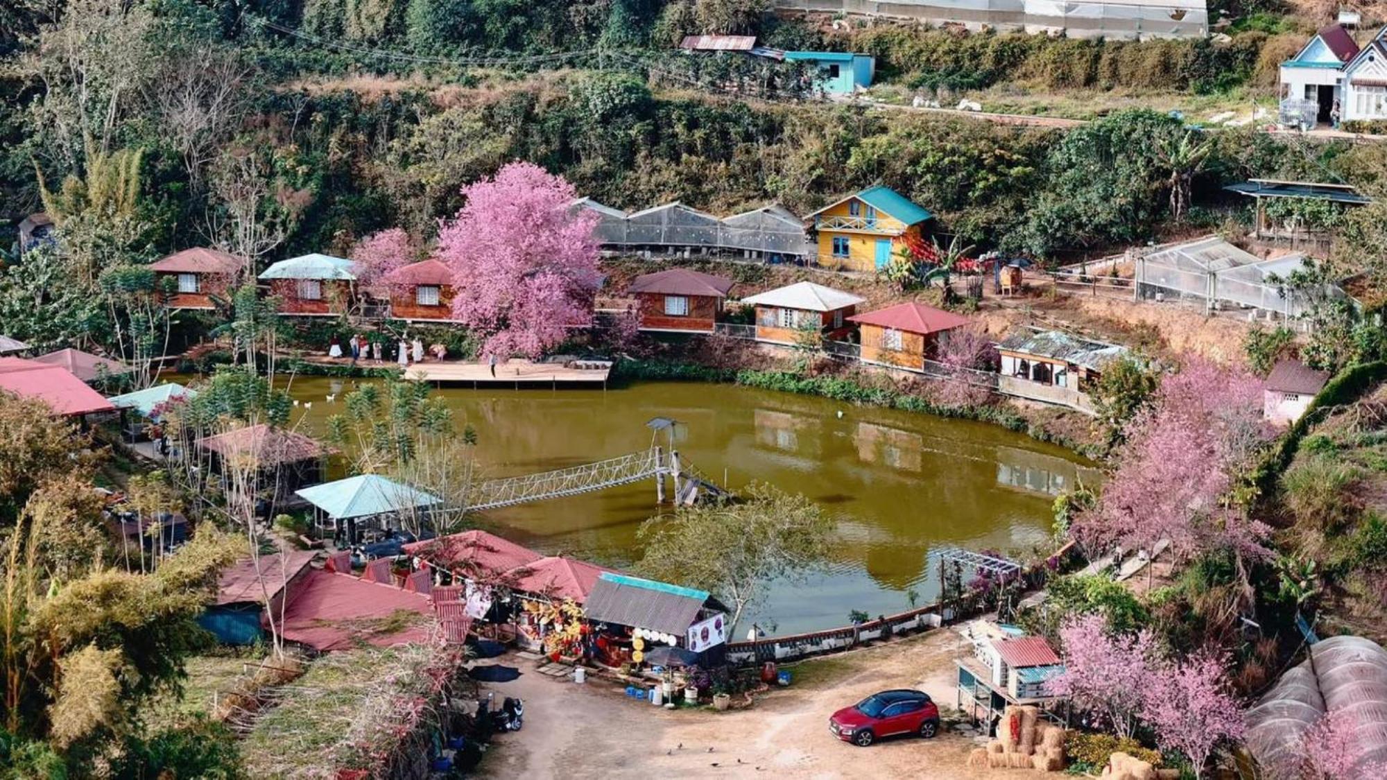 Nha Ben Ho - Da Lat Homestay Exterior photo