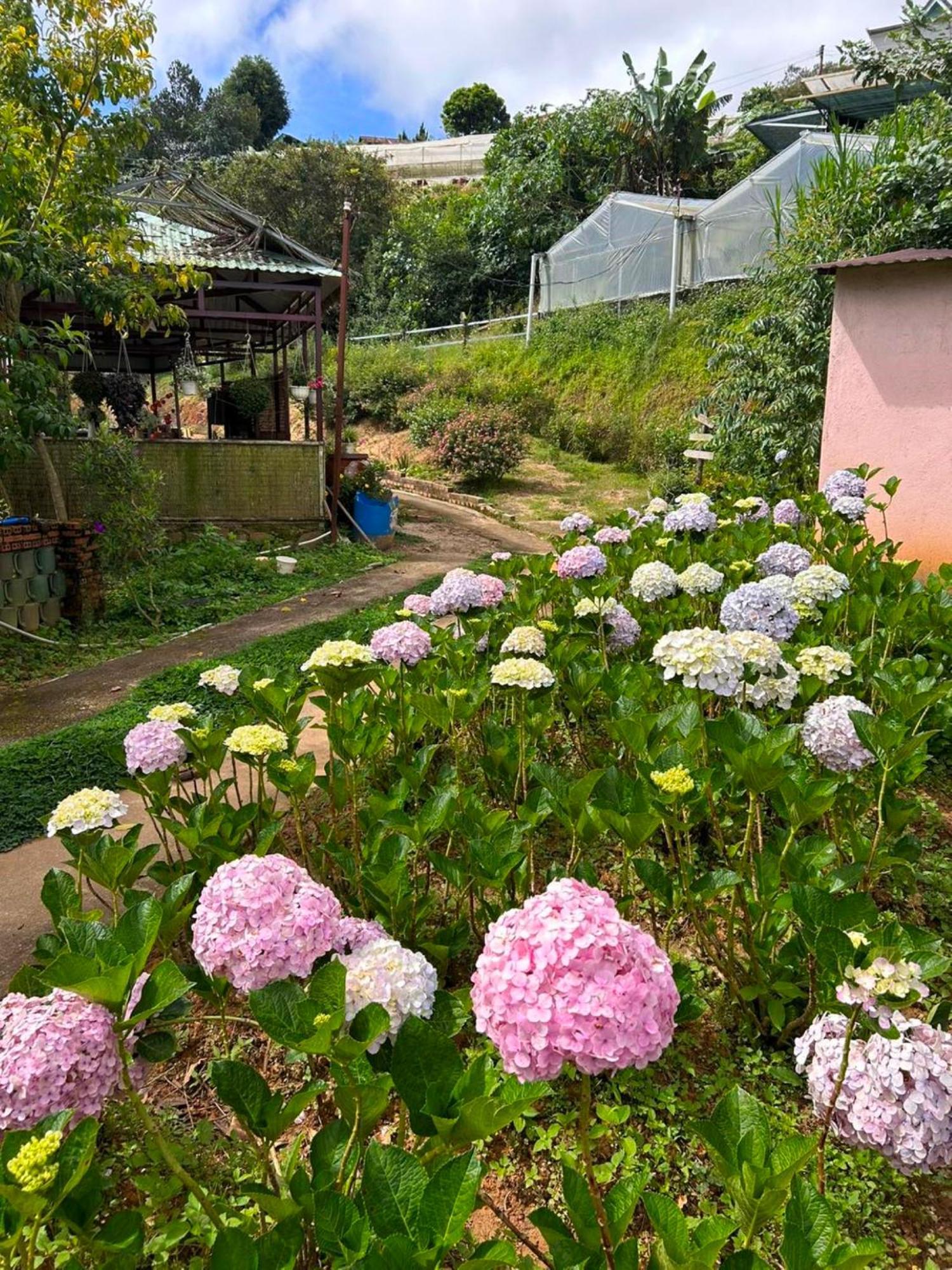 Nha Ben Ho - Da Lat Homestay Exterior photo
