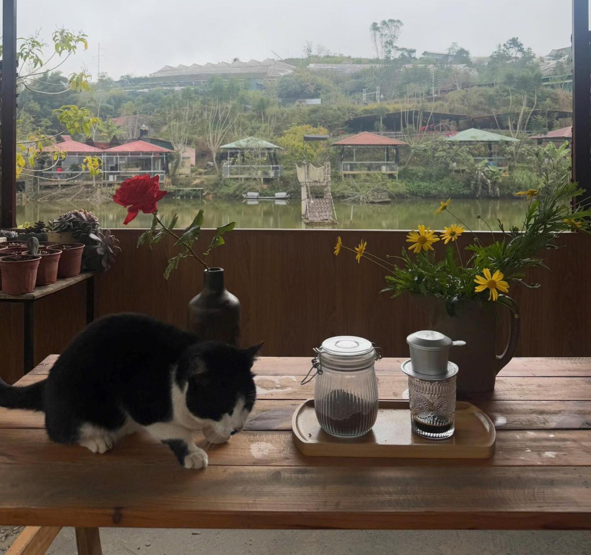 Nha Ben Ho - Da Lat Homestay Exterior photo